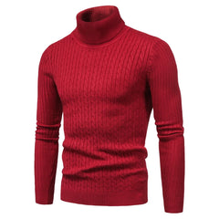 Warm Turtleneck Sweater Men  Pull Homme Casual Pullovers Male Outwear Slim Knitted Sweater