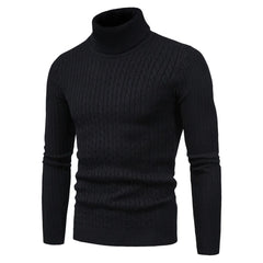 Warm Turtleneck Sweater Men  Pull Homme Casual Pullovers Male Outwear Slim Knitted Sweater