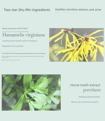 Shancaoji Tea Tree Men's and Women's Oil Skin Moisturizing Water Milk Suit