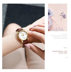 Womens Wrist Watch OLVES 6629 Automatic Mechanical Fashion Blue Dial Watches For women Leather Strap Waterproof Date